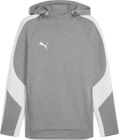 Teamevostripe Hoody