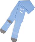 Team SFV Stacked Logo Socks Replica