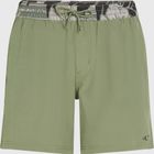 O'neill Pocket Print 16