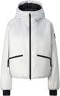 Celina