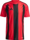 Striped 24 Jersey