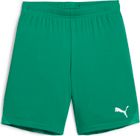 Teamgoal Shorts