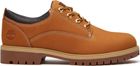 Mens Lace UP Shoe