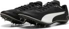 Evospeed Brush 7