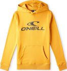 Logo Hoodie