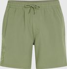 O'riginals Cali Ocean 16'' Swimshorts