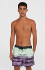 O'neill Cali Gradient 15'' Swimshorts