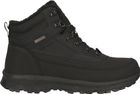 Parrite Boot WP