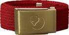 Kids Canvas Brass Belt