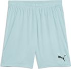 Teamgoal Shorts