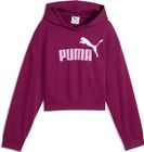 Essentials 2 Color No 1 Logo Hoodie FL B