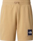 Mens Box NSE Light Regular Shorts