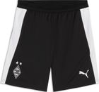 Teamadditions Bib