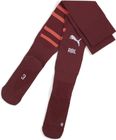 Team RBL Graphic Socks Replica