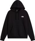 Mens Evolution Box NSE Regular Hoodie