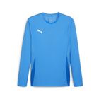 Teamgoal LS Jersey