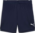 Teamjaws Starter Shorts Jr