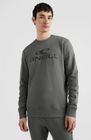 Logo Crew Sweatshirt