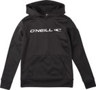 Rutile Hooded Fleece