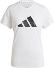 Workout Essentials Big Performance Logo Training T-shirt Women