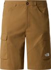 Mens Exploration Cargo Shorts