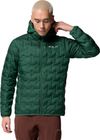 Delta Ridge II Down Hooded Jacket