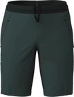 Men Shorts Assl
