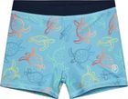 Swim Trunks AOP 720391