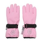 Gloves Waterproof 742488