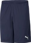 Teamrise Training Shorts
