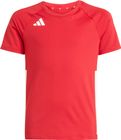 Volleyball Hilo Shorts Sleeve Jersey Youth