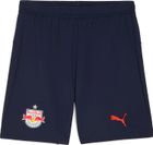 RBS Shorts Replica