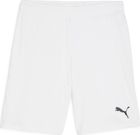 Teamgoal Shorts