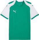 teamLIGA26 Socks