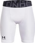 HG Armour Shorts