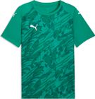 Teamfinal Graphic Jersey