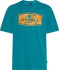 O'neill Graphic T-shirt