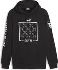 öfb Ftblicons Hoody