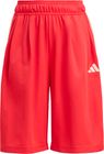 Stadiumm Mesh Shorts Junior Boys and Girls