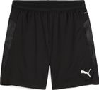 Teamcup Training Shorts