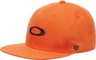 47 Oakley B1B Ellipse Hat