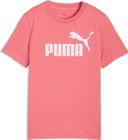 Essentials No. 1 Logo Tee G