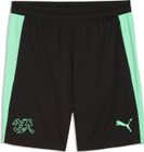 SFV Training Shorts w/ Pockets