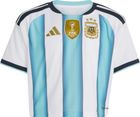 Argentina 26 Home Cropped Jersey