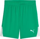 teamLIGA26 Shorts Jr