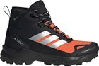 Terrex Skychaser AX5 Mid Gore-tex Climawarm+ Hiking Shoes