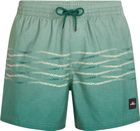 O'neill First 15'' Swimshorts