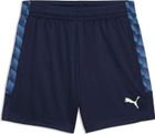 teamLIGA26 Training Shorts Jr
