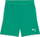 Teamgoal Sleeve Sock