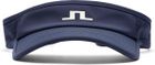Gain Visor